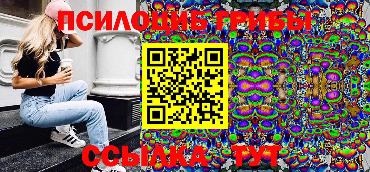 Прокопьевск  Псилоцибиновые грибы Cubensis  Вход с VPN 