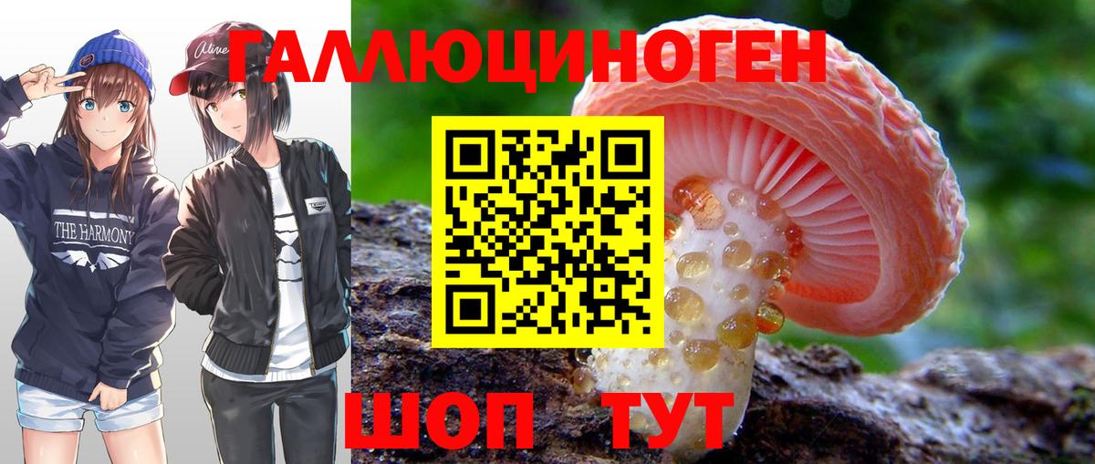 Галлюциногенные грибы Cubensis Прокопьевск